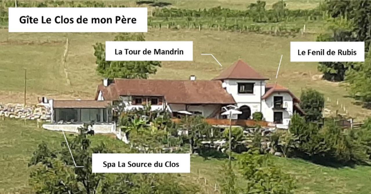 Apartment & Le Clos De Mon Pere